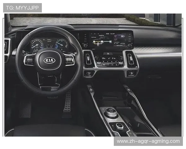 起亚曾赞助哪支意甲球队?合作案例与营销成效