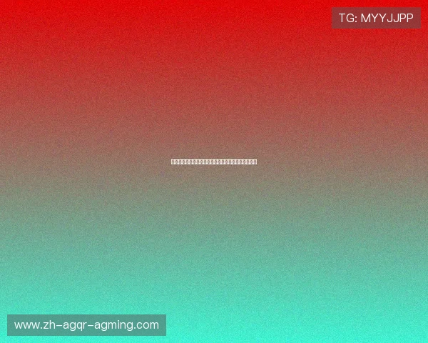 柯蒂斯杯美国队阵容初现奥基夫与塔利领衔入选引关注